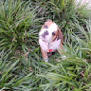 Meet your Posher, Becky